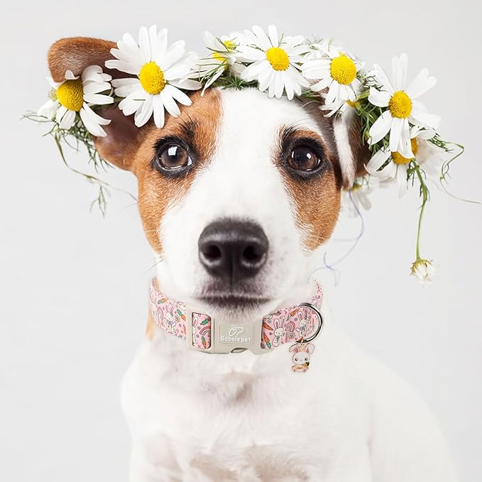 Easter Dog Collar for Small Dogs - Pink Girly Bunny Dog Collars, Cute Girl Dogs Easter Collar, Adjustable Female Spring Holiday Pet Collars with Quick Release Buckle XS