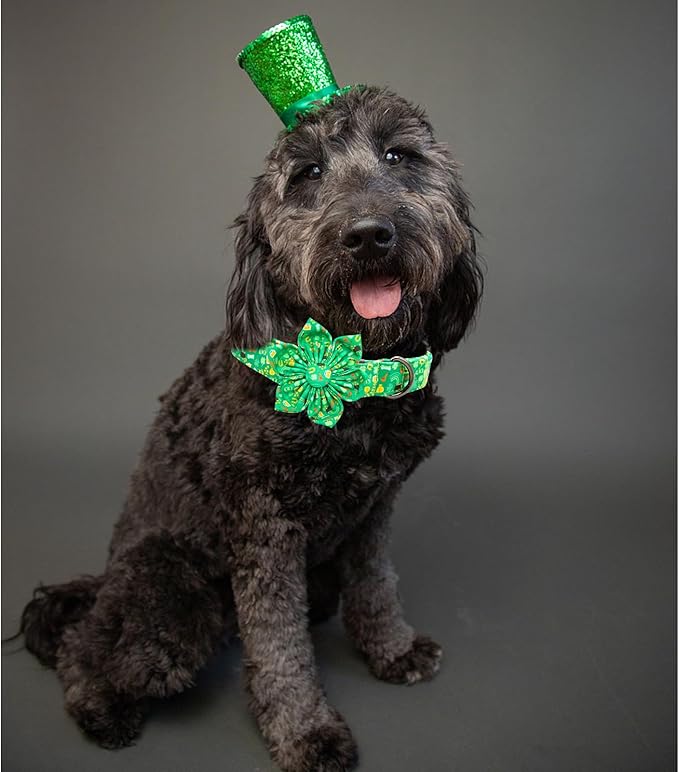 Lionheart glory St. Patrick's Day Dog Collar with Flower Dog Collar for Large Dogs, Green Collars Lucky Clover Shamrock Dog Collar Flower Pet Collar Bows Heavy Duty