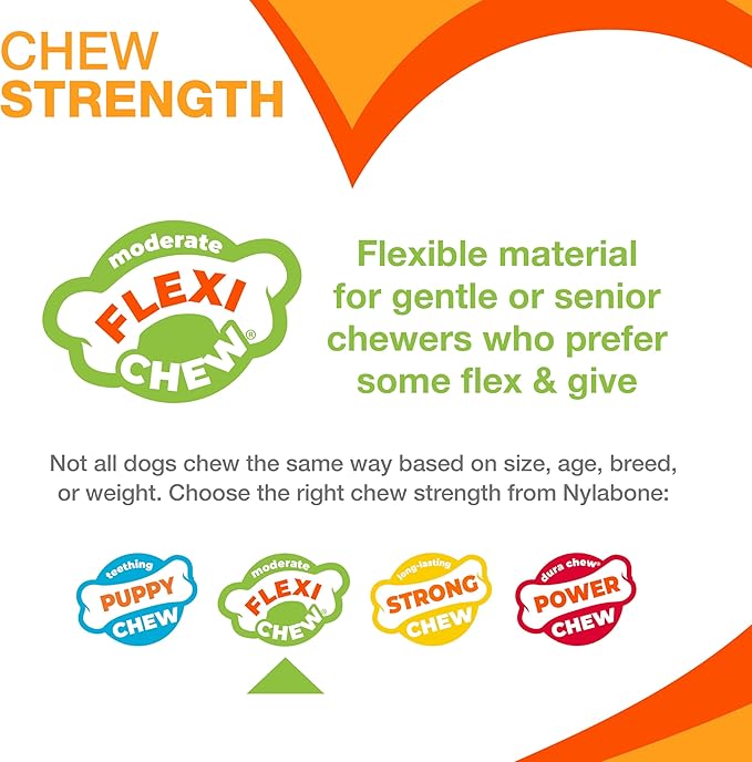 Nylabone Textured Dental Bone Flexi Chew Toy for Dogs, Dog Toys for Moderate Chewers, Chicken Flavor, X-Small - Up to 15 lbs, 1 Count
