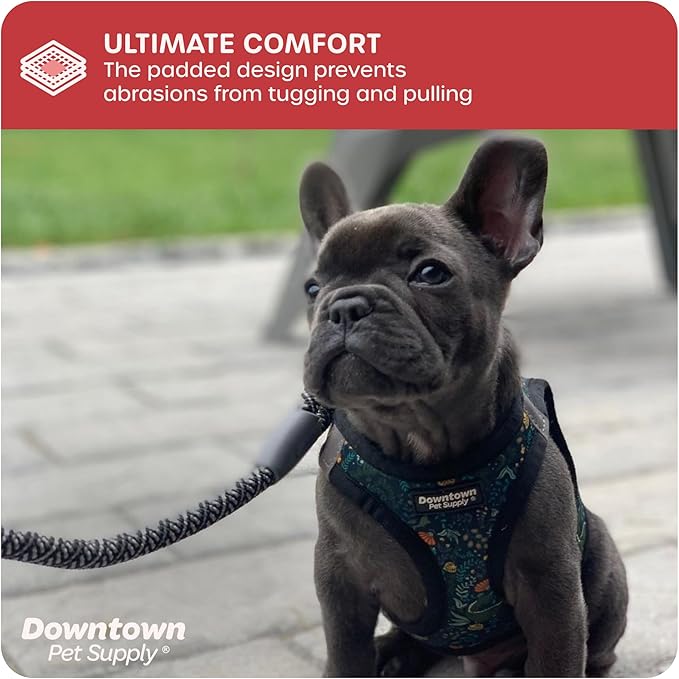 Downtown Pet Supply Step-in Dog Harness – No Pull, Adjustable Padded Mesh with Reflective Trim, Secure Buckle Strap – Comfortable & Breathable Small Dog Harness, X-Large, Dinosaur