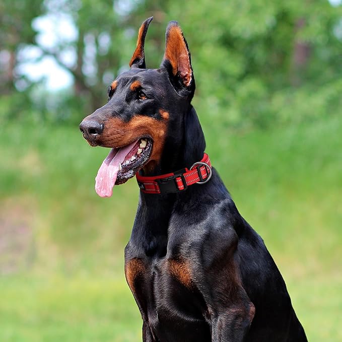 EXCELLENT ELITE SPANKER Reflective Dog Collar Classic Soft Padded Breathable Nylon Adjustable Pet Collar with Quick Release Buckle for Boy Girl Male Female Small Medium Large Dogs Training(Black-S)
