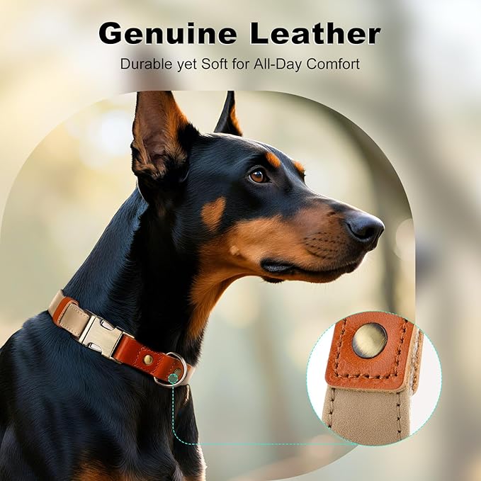 Plutus Pet Genuine Leather & Hemp Dog Collar – Adjustable Heavy Duty Pet Collar with Quick Release Metal Buckle, Soft & Stylish for Puppy and Small, Medium, Large Dogs (Beige, XS)