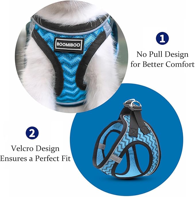 BOOMIBOO Dog Harness with Leash Set, No Pull Adjustable Reflective Step-in Puppy Pet Vest Harnesses for Small Medium Large Dogs and Cats,Blue Stripe XXS