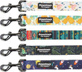 Downtown Pet Supply 5ft Heavy-Duty Dog Leash with Padded Comfort Handle and Stainless Steel Fastener - Durable Dog Training Leash - 1in Wide