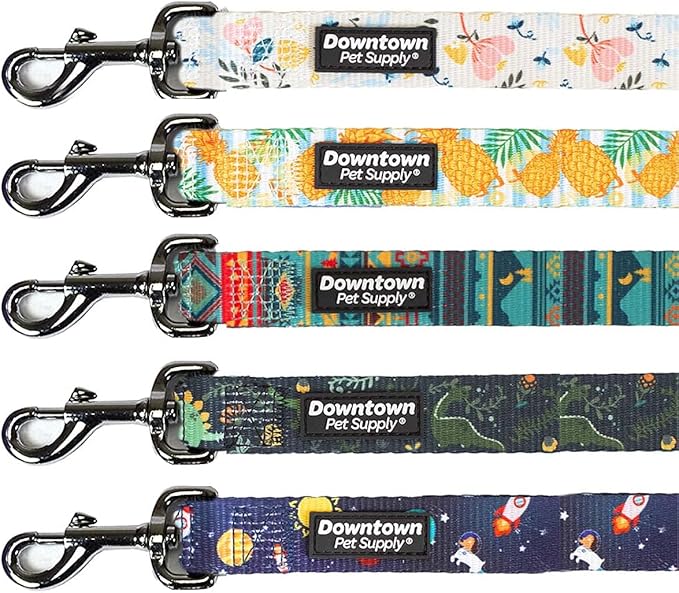 Downtown Pet Supply 5ft Heavy-Duty Dog Leash with Padded Comfort Handle and Stainless Steel Fastener - Durable Dog Training Leash - 1in Wide