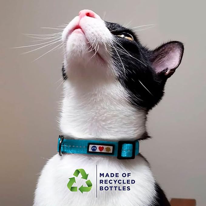Pawtitas Recycled Purple Reflective Cat Collar – Eco-Friendly Breakaway Safety Buckle, Adjustable Kitten & Adult Collar with Removable Bell and High-Visibility Strap