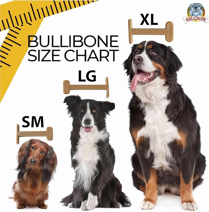 Bullibone Nylon Dog Chew Toy for Aggressive Chewers - Dental Hygiene Bone with Peanut Butter Flavor, Durable Tough Chew Toys for Extra Large Dogs, Indestructible Dog Bone - 2 Pack
