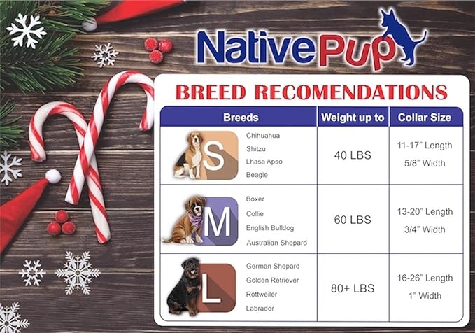 Native Pup Christmas Dog Collar- Winter Holiday Collars for Pets- Xmas Gift for Puppy- Santa, Reindeer, Snowman, Candy Cane, Red Green- Girl Boy- Small, Medium, Large Breeds (Snowman, Medium)