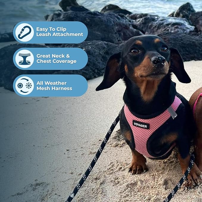 Best Pet Supplies Voyager Step-in Air All Weather Mesh Harness and Reflective Dog 5 ft Leash Combo with Neoprene Handle, for Small, Medium and Large Breed Puppies - Pink Base,S