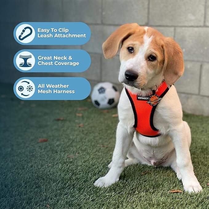 Best Pet Supplies Voyager Step-in Air All Weather Mesh Harness and Reflective Dog 5 ft Leash Combo with Neoprene Handle, for Small, Medium and Large Breed Puppies - Orange/Black Trim, XX-Small