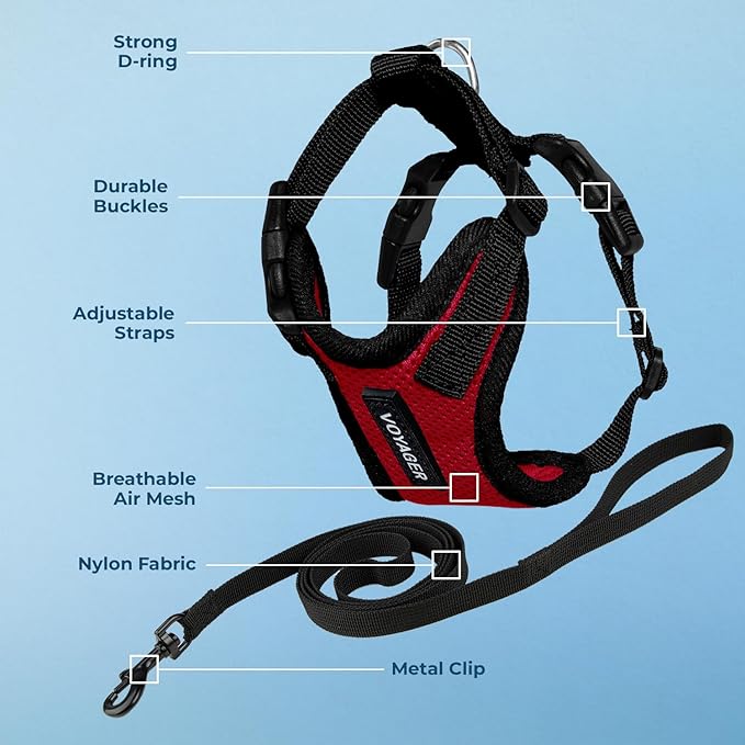 Voyager Escape-Proof Step-in Lock Cat Harness & 5ft Neoprene-Handle Leash Set All-Weather Mesh with Reflective Stitching for Small to Large Cats by Best Pet Supplies, Red/Black Trim, XS