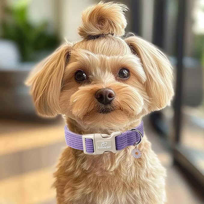 Cute Corduroy Dog Collar - Lavender Adjustable Dog Collars for Large Dogs 50-80lbs, Fade-Proof with Secure Snap & Little Charm, Christmas Birthday Gift, L