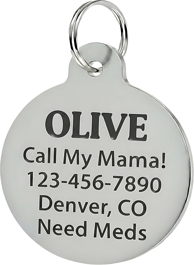 Bad Tags Personalized Dog and Cat ID Tags in 25+ Designs and 2 Sizes - 5 Lines of Custom Engraved Text - Funny Cute Personalized Pet Tags (I'm The Reason We Can't Have Nice Things, Small (1 inch))