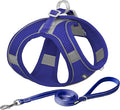 AIITLE Small Harness for Puppy with A Leash - Dog Vest Harness with Super Breathable Mesh, Reflective No-Pull Pet Harness for Outdoor Walking, Running for Small Dogs, Cats Royal Blue XXS