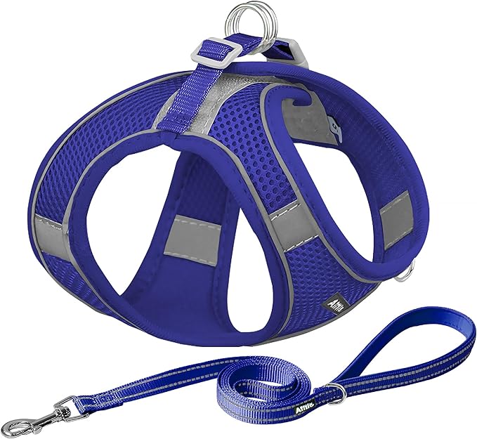 AIITLE No Pull Dog Harness and Leash Set, Step in Adjustable Dog Harness with Padded Vest for All Weather, Dog Leash with Soft Padded Handle, Easy to Put on Small and Medium Dogs Royal Blue S