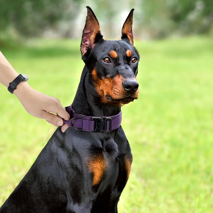Tactical Dog Collar, Adjustable Military Training Nylon Dog Collar with Control Handle and Heavy Quick-Release Metal Buckle for Small Medium Large Dogs, Purple XL