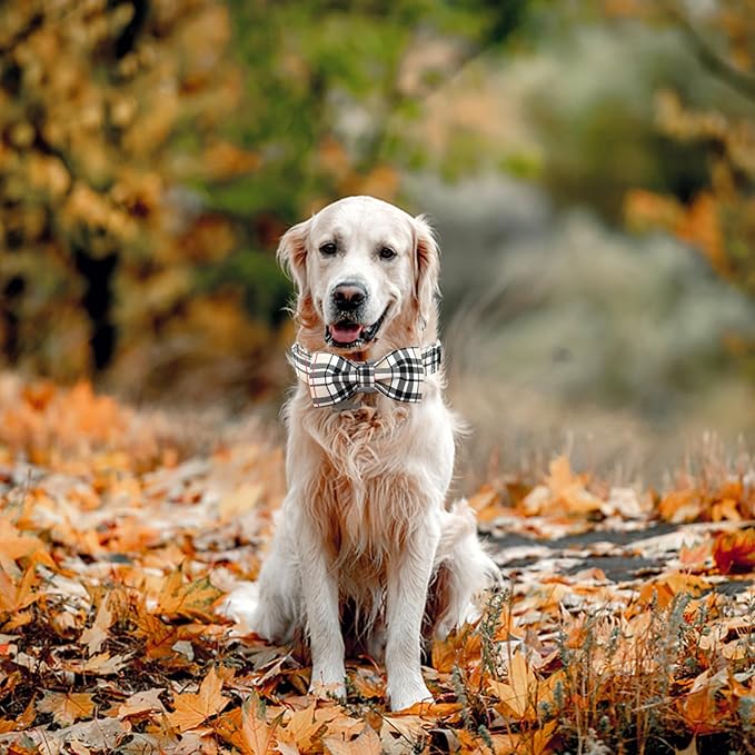 Bow Dog Collar-Plaid Pet Collar Cute Pet Bow Soft Girl or Boy Dog Collars with Metal Buckle Adjustable Collars for Medium Dogs