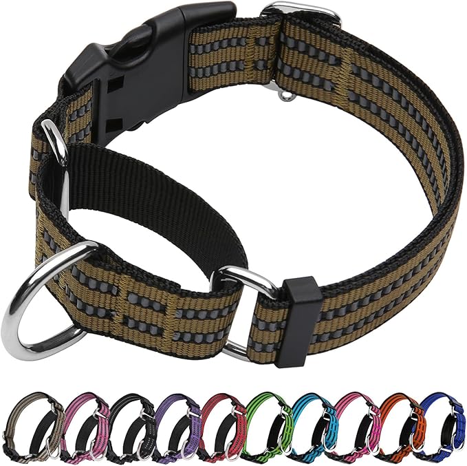 Martingale Dog Collar, Adjustable Nylon Reflective Collar with Buckle No Pull Dog Collar for Small Medium Large Dogs (Army Green M)