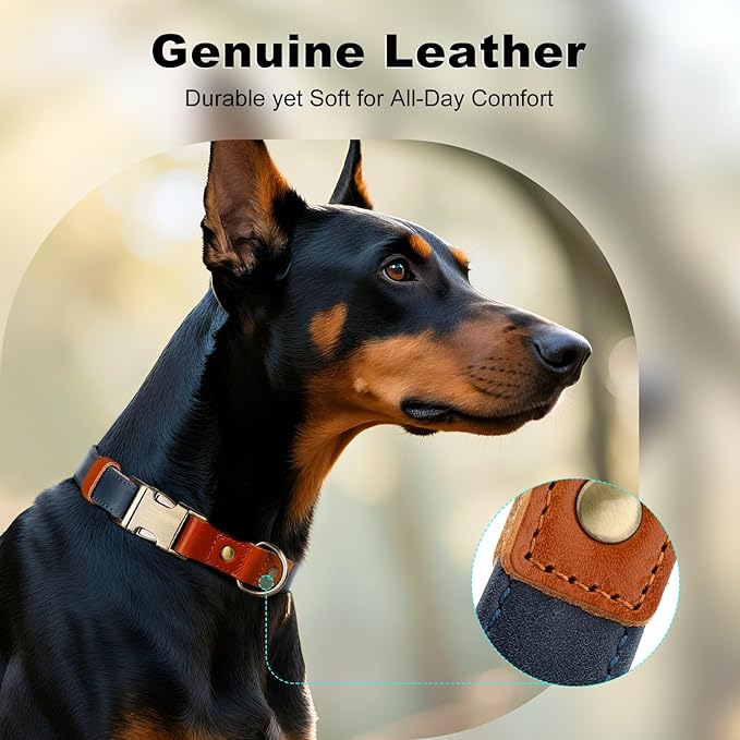 Plutus Pet Genuine Leather & Hemp Dog Collar – Adjustable Heavy Duty Pet Collar with Quick Release Metal Buckle, Soft & Stylish for Puppy and Small, Medium, Large Dogs (Blue, M)