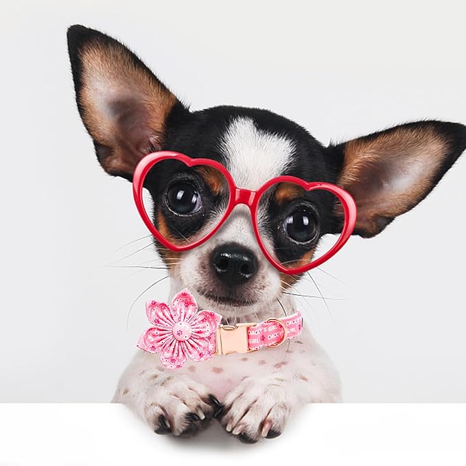 Lionheart glory Valentine's Day Dog Collar with Flower Dog Collars Pink Collars for Medium Dogs, Spring Pet Puppy Collar Flowers