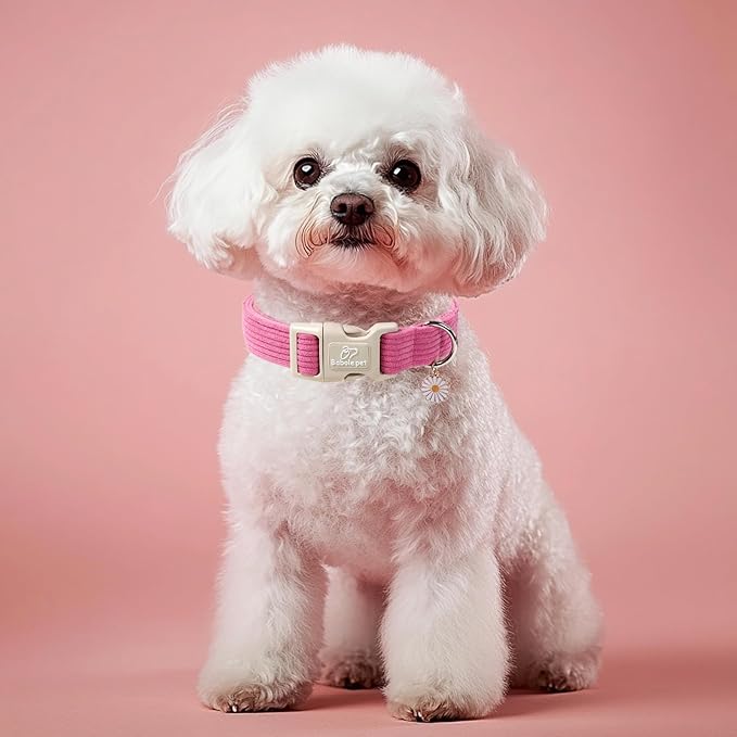 Cute Corduroy Dog Collar - Deep Rose Adjustable Dog Collars for Small Dogs 10-25lbs, Fade-Proof with Secure Snap & Little Charm, Christmas Birthday Gift, S