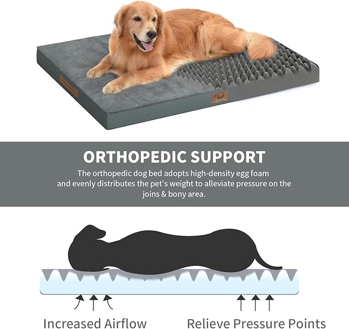 Orthopedic Dog Bed for Large Dogs, Plush Washable Pet Bed for Large Size Dogs with Egg Crate Foam & Removable Oxford Cover, 36x27 Inch, Gray