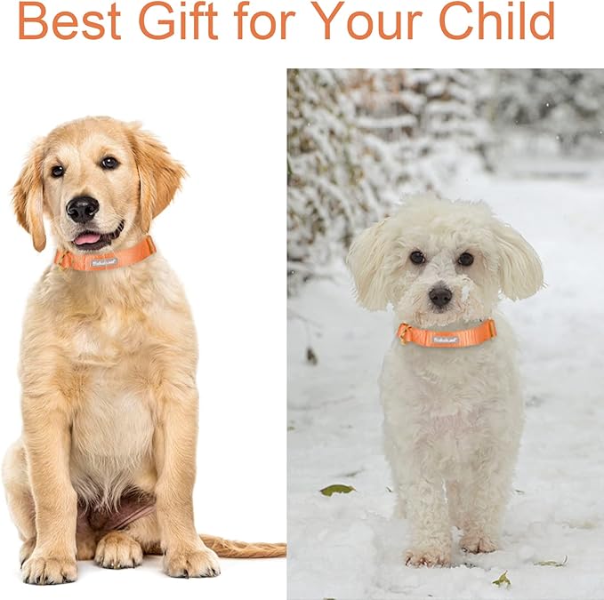 Nylon Dog Collar - Adjustable Orange Soft Webbing Dog Collars for Small Medium Large Dogs Boy Girl Puppy Collar with Safety Metal Buckle M