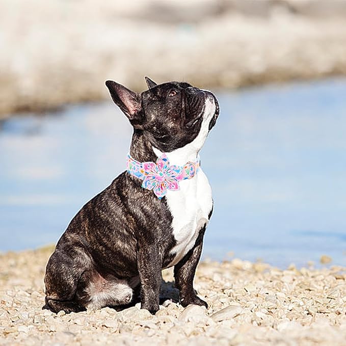 Lionheart glory Dog Collar Flower Collar Pink Dog Collars with Flower Summer Cute Sea Animals Print Collar Dog Female Soft Durable Adjustable Dog Collars for Medium Dogs