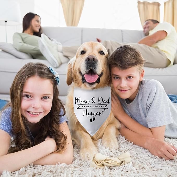 Mom & Dad are Getting Me a Human Dog Bandana Pregnancy Announcement for Parents Cool Gender Reveal Ideas Photo Props Pet Dog Scarf Accessories