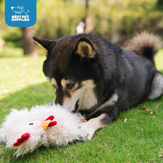 Best Pet Supplies Interactive Squeaky Dog Chew Toy, Ideal Dog Toys for Chewers, Small, Medium & Large Dogs, and Fetch Lovers - Crinkle Chicken (Beige), Large