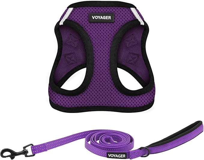 Best Pet Supplies Voyager Step-in Air All Weather Mesh Harness and Reflective Dog 5 ft Leash Combo with Neoprene Handle, for Small, Medium and Large Breed Puppies - Purple/Black Trim, XX-Small