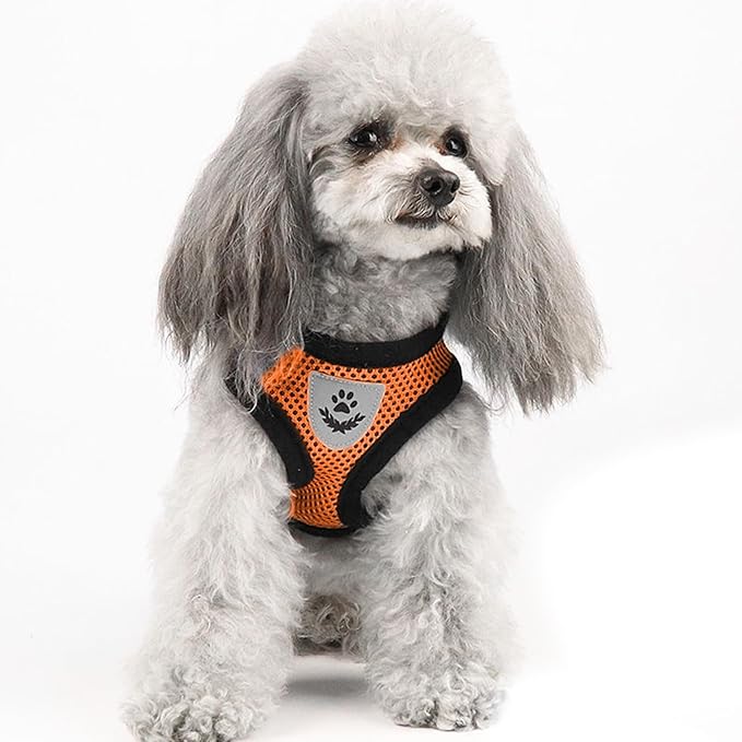 shudyear Summer cat Chest Harness and Leash, Anti-Escape Adjustable Soft mesh cat Leash and Chest Harness Set for All Types of Cats cat Vests (Size XL, Orange)