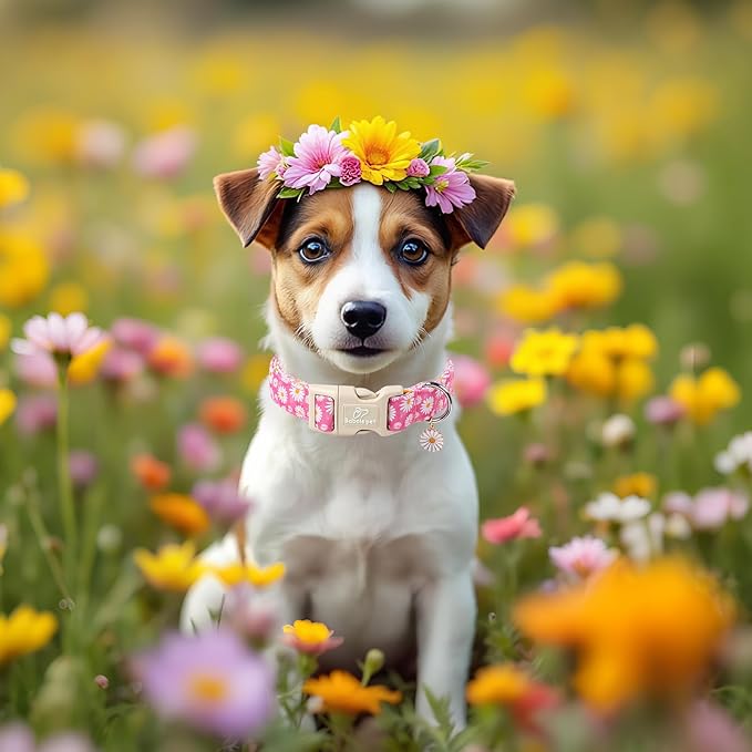Summer Daisy Dog Collar, Cute Floral Adjustable Pink Dog Collars for Large Dogs, Lightweight Quick-Release Buckle Collar for Boy&Girl Dogs L