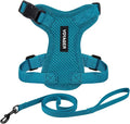 Voyager Escape-Proof Step-in Lock Cat Harness & 5ft Neoprene-Handle Leash Set All-Weather Mesh with Reflective Stitching for Small to Large Cats by Best Pet Supplies, Turquoise, XXS