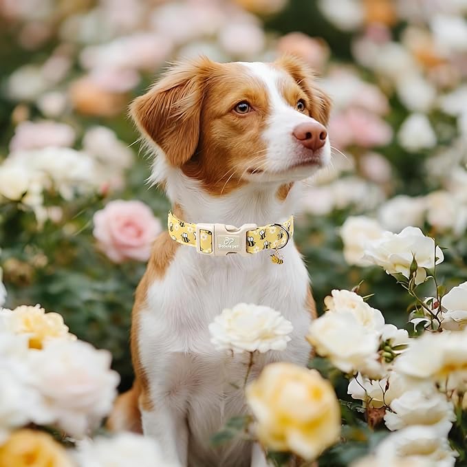 Bee & Daisy Dog Collar for Puppy Small Dogs - Spring/Summer Cartoon Yellow Dog Collars, Lightweight Adjustable Male Female Dogs Collars with Quick Release Buckle XS