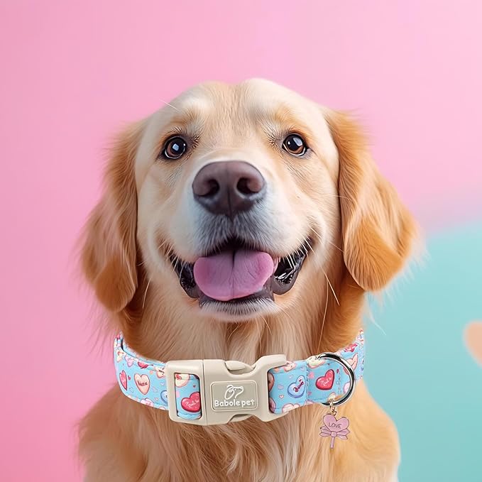 Valentines Dog Collar for Large Dogs - Valentine Candy Hearts Dog Collars, Love Boy Girl Dogs Collars, Lightweight Adjustable Cute Blue Puppy Collar with Quick-Release Buckle XL