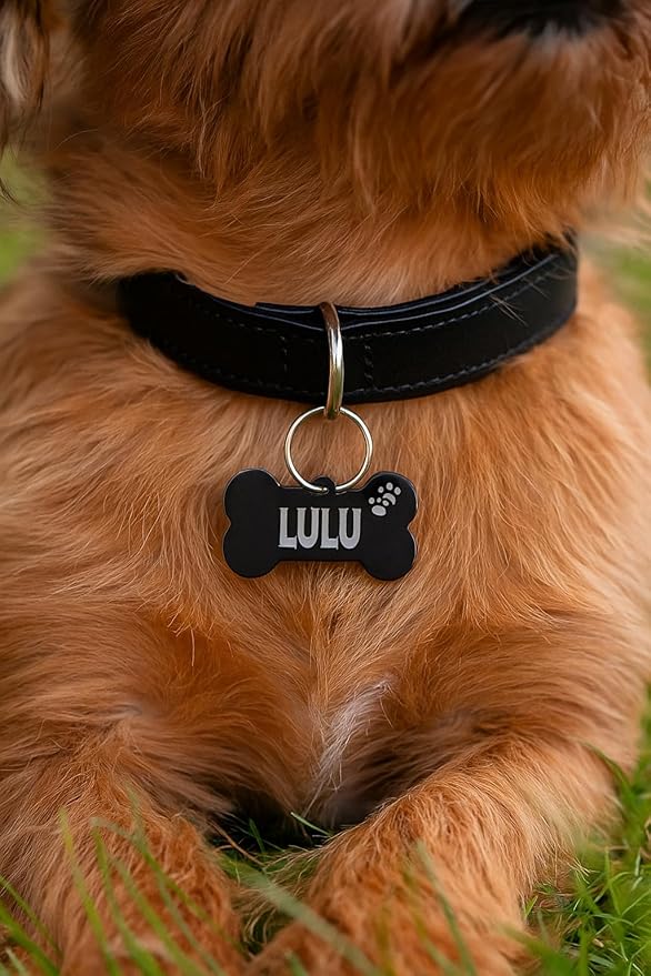 Stainless Steel Personalized Pet ID Tags, Art Design for Dog Tags, Cat Tags, Customized and Engraved on Both Sides of ID Tag, Bat in Black, Silver, Blue, Gold, Rose Gold Color