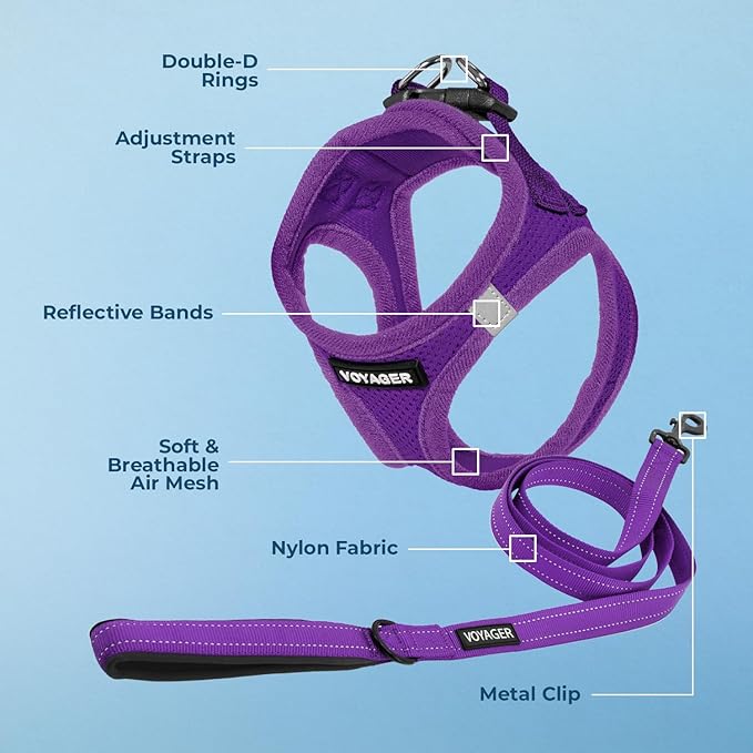 Best Pet Supplies Voyager Step-in Air All Weather Mesh Harness and Reflective Dog 5 ft Leash Combo with Neoprene Handle, for Small, Medium and Large Breed Puppies - Set (Purple), L