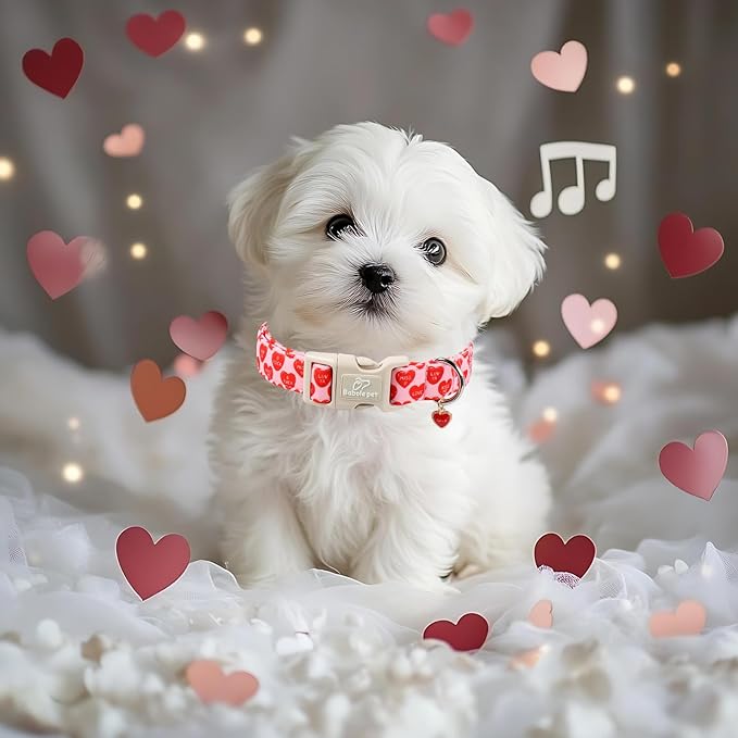 Valentines Dog Collar for Large Dogs - Valentine Red Conversation Hearts Dog Collars, Love Boy Girl Dogs Collars, Lightweight Adjustable Cute Puppy Collar with Quick-Release Buckle L