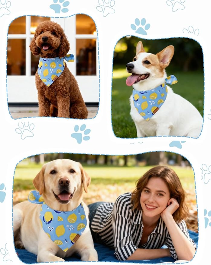 Luxury Double-Layer Dog Birthday Bandana – Handmade, Silk-Soft Polyester for All Dog Sizes | Birthday & Party Outfit | Gift-Ready Pet Accessory (Yellow, Medium)