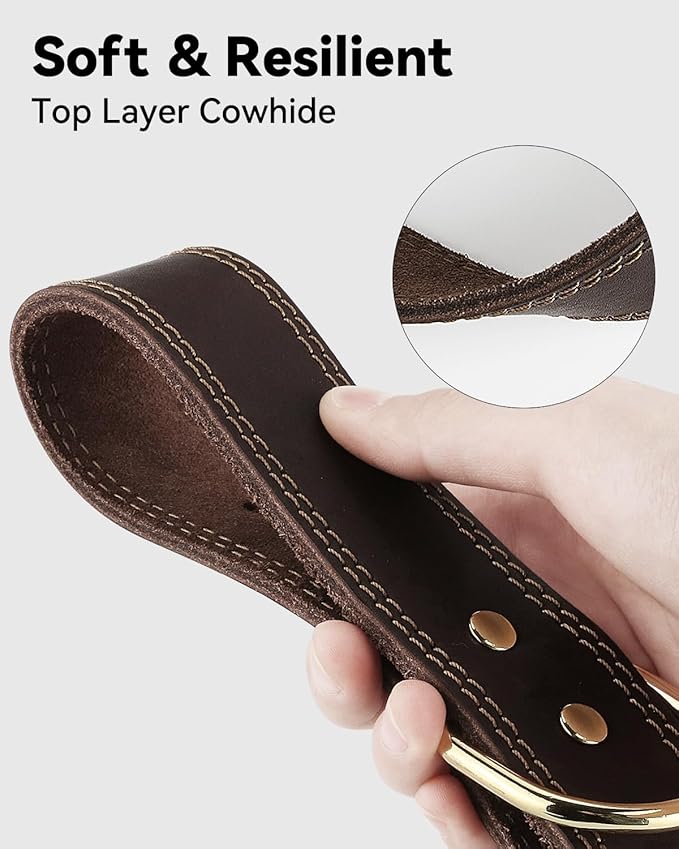 Joytale Leather Dog Collar for Small Dogs, Genuine Solid Sturdy Leather for Active Small Breeds, Adjustable Metal Pin Buckle, Durable and Secure Pet Collar for Daily Use, Brown, XS