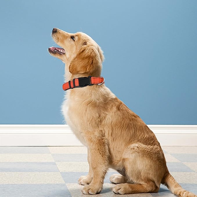 Reflective Dog Collar, Adjustable Soft Neoprene Padded Nylon Pet Collars with Buckle for Medium Dogs, Orange,M