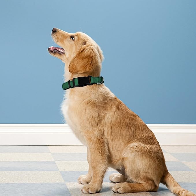 Reflective Dog Collar, Adjustable Soft Neoprene Padded Nylon Pet Collars with Buckle for Puppy and Small Dogs, Cats, Dark Green,XS