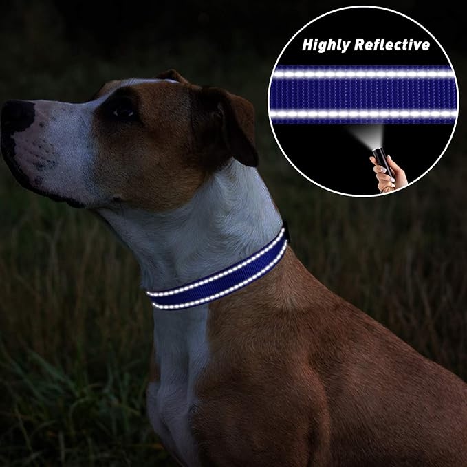 TagME Reflective Nylon Dog Collars, Adjustable Classic Pet Collar with Quick Release Buckle for Medium Dogs, Royal Blue, 1.0" Width