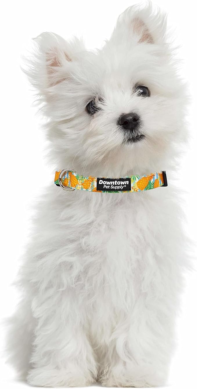 Downtown Pet Supply - Best & Fancy Dog Collar - Lightweight Adjustable with Quick Buckle & D-Ring - Hand Wash Safe - Pineapple - Large