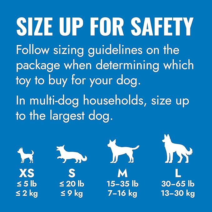 KONG - Puppy Toy - Natural Teething Rubber - Fun to Chew, Chase and Fetch ( Colors May Vary)