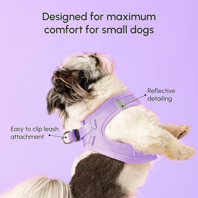 Downtown Pet Supply Step in Dog Harness for Small Dogs - Adjustable, Escape Proof Dog Harness with Reflective Trim - All-Weather, Fast-Drying Padded Mesh Fabric - Lilac, S
