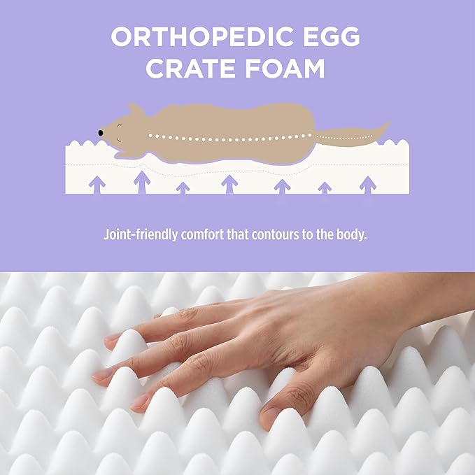 LE SURE Cute Orthopedic Dog Bed Large Sized Dog, Waterproof Chic Flat Pet Beds with Removable Washable Cover, Fuzzy Thick Egg Crate Foam Pet Mat for Indoor Use (36" x 27", Brown)