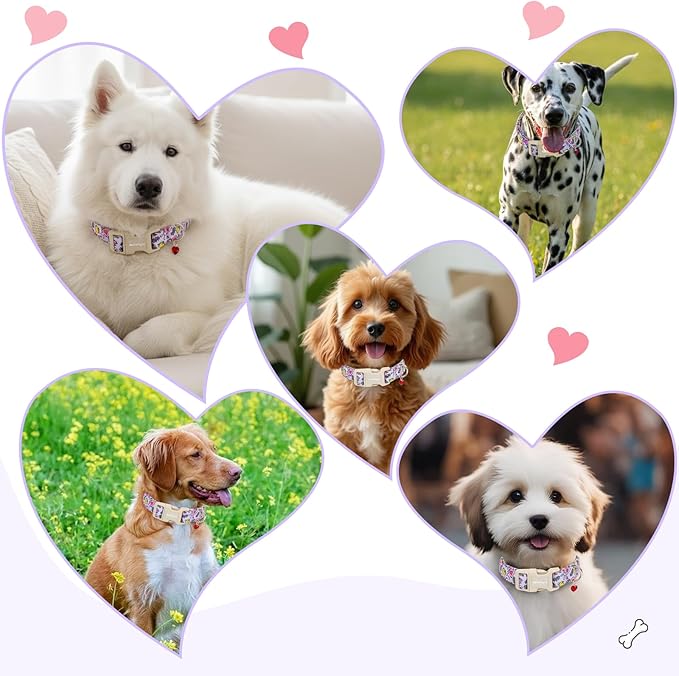 Easter Dog Collar for Small Dogs, Easter & Spring Theme Small Dog Collar with Cute Chick & Bunny Pattern, Adjustable Purple Easter Dog Collars Girl Boy Collar for Dogs -S