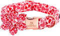 Lionheart glory Valentine's Day Dog Collar with Flower Dog Collars Red Hearts Dogs Collar with Bowtie for Small Dogs Spring Puppy Pet Collars Bows